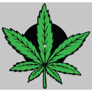 100 Gecs Snake Eyes 10″ Vinyl EP Picture Disc RSD 2024