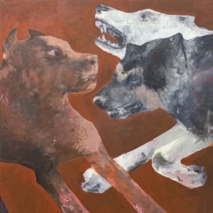 81355 Bad Dogs Vinyl LP Chocolate Rain Colour 2025