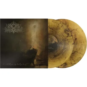 A Wake In Providence I Write To You, My Darling Decay Vinyl LP Marbled Colour 2024