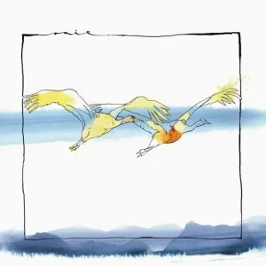 Acid Pauli & Nico Stojan Vola 12″ Vinyl Single 2025