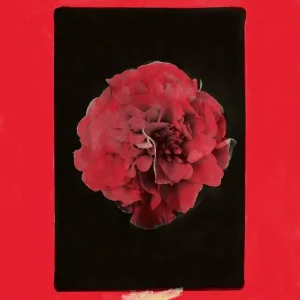 Activity A Thousand Years In Another Way Vinyl LP 2025