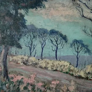 Advance Base Horrible Occurrences Vinyl LP 2024