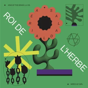 Aerial Salad Roi De L’Herbe Vinyl LP 2025
