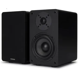 Aiwa SP-A100  Black Book Shelf Speakers