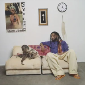 Amin 13 Months of Sunshine Vinyl LP 2025