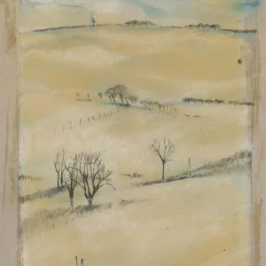 Amy Duncan Wake Vinyl LP 2024