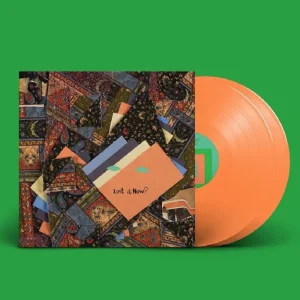 Animal Collective Isn’t It Now? Vinyl LP Orange Colour 2023