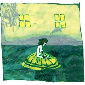 Animal Collective Prospect Hummer 12″ Vinyl EP Indies 2024