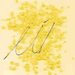 Anni Kiviniemi Trio Eir Vinyl LP 2024