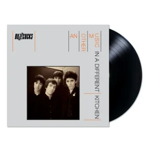 Another Music In a Different Kitchen (LP)