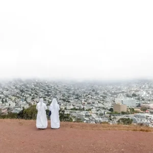 Asphalt Meadows (Vinyl)