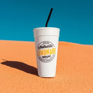 Authentic Lemonade (CD)