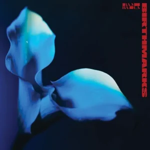 Bambara Birthmarks Vinyl LP Red Colour 2025