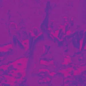 Bardo Pond, Acid Mothers Temple & Guru Guru Acid Guru Pond Vinyl LP 2025