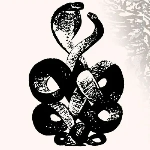 Bardo Pond Volume 4 & 5 Vinyl LP 2025