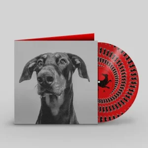 BIG SPECIAL Postindustrial Hometown Blues Vinyl LP Zoetrope Colour 2025