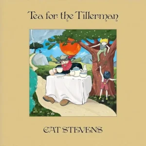 Cat Stevens Tea For The Tillerman Vinyl LP 2025