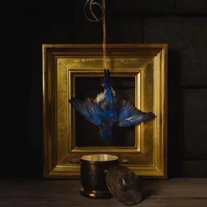 Claire Dickson The Beholder Vinyl LP 2024