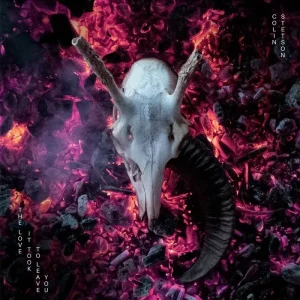 Colin Stetson The Love It Took To Leave You Vinyl LP 2025