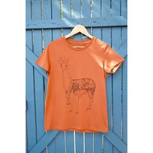 Copper Homecoming Llama