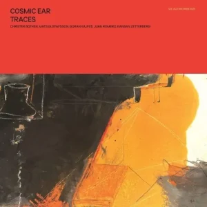 Cosmic Ear Traces Vinyl LP 2025