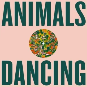 Courtney Bailey I Wanna Feel You 12″ Vinyl EP 2025