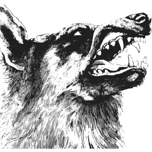 Crippled Black Phoenix I, Vigilante Vinyl LP 2025