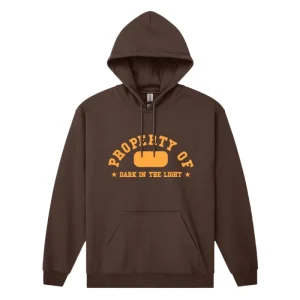 Dark In The Light Hoodie