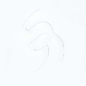 David August VS Vinyl LP 2023