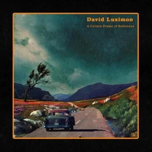 David Luximon A Certain Frame Of Reference Vinyl LP Heather Colour 2024