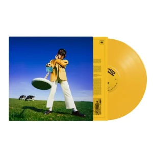 Declan McKenna What Happened to the Beach? Vinyl LP Indies Sun Yellow Colour 2024