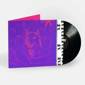 Dehd Poetry Vinyl LP 2024