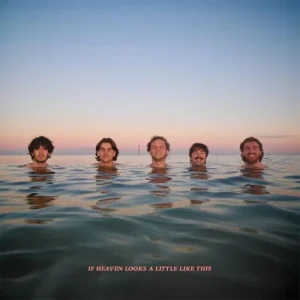 Delights If Heaven Looks A Little Like This Vinyl LP Orange Colour 2025