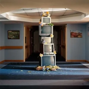 Denude A Murmuration Of Capitalist Bees Vinyl LP 2025