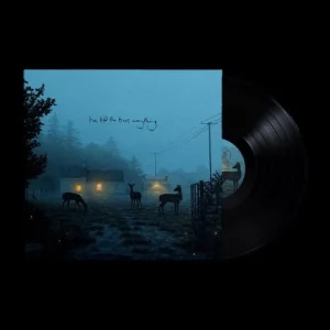 Dermot Kennedy Ive told the trees everything Vinyl EP 2024