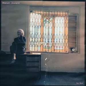 Desperate Journalist No Hero Vinyl LP 2024