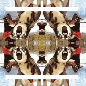 Destiino Ii Vinyl LP 2025