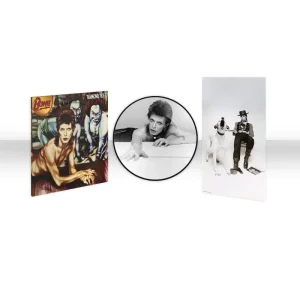 Diamond Dogs Picture Disc