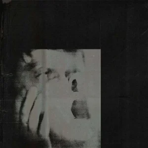 Ditz Never Exhale Vinyl LP 2025