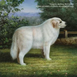 Douglas Andrew McCombs VMAK<KOMBZ<<<DUGLAS<<6NDR7<<< Vinyl LP 2023