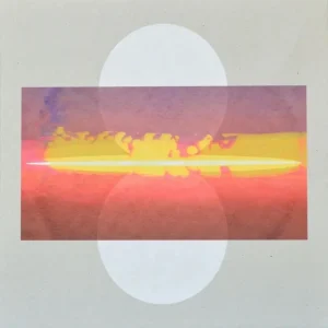 Drone Assembly (Self Titled) Vinyl LP & Screen Printed Cover 2024