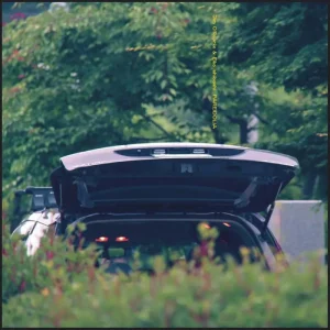 Eiko Ishibashi & Jim O’Rourke Pareidolia Vinyl LP Due Out 29/08/25