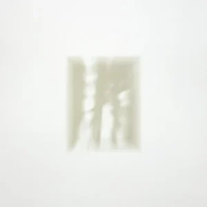 Fat White Family Forgiveness Is Yours Vinyl LP Indies Clear Colour 2024