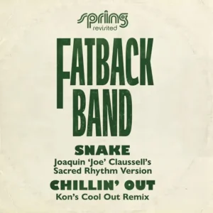 Fatback Band Snake / Chillin’ Out Vinyl LP 2025