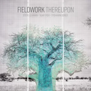 Fieldwork Thereupon Vinyl LP Due Out 05/09/25