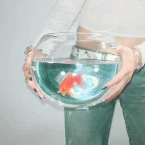 Fish Narc Frog Song Vinyl LP 2025