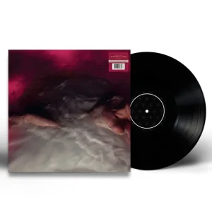 FLOWERS for VASES / descansos (Black Vinyl)