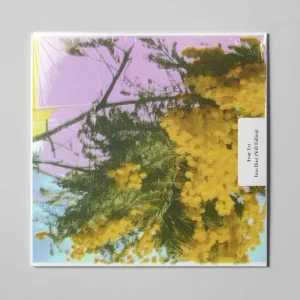 Four Tet Into Dust (Still Falling) 12″ Vinyl Single Due Out 05/09/25