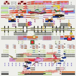 Grrl & Made Of Oak Hardcore 12″ Vinyl Single 2025