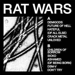 Health Rat Wars Vinyl LP 2024